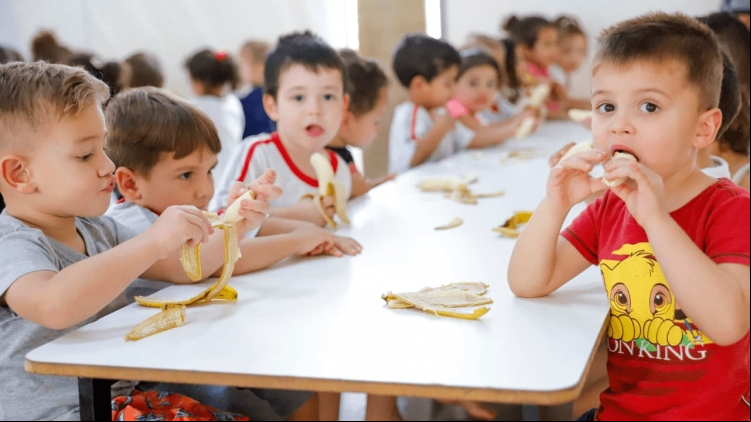 Oficina Alimenta Cidades reúne representantes do poder público e da sociedade civil em Rio Preto para debater políticas de segurança alimentar e garantir o direito à alimentação adequada.