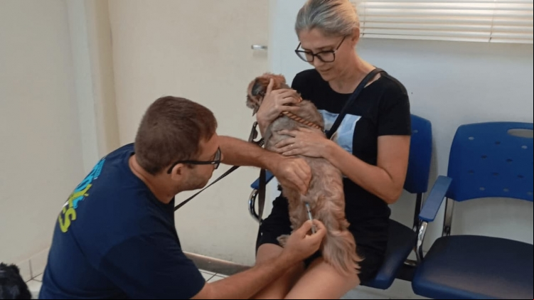 Proteção em dia! Cães e gatos recebem a vacina antirrábica gratuita no CCZ durante mais uma edição do "Sábado com Vacina”. A imunização é essencial para prevenir a raiva, uma doença fatal.
